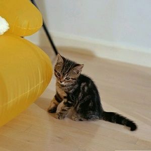 Meet your Posher, Jasmine